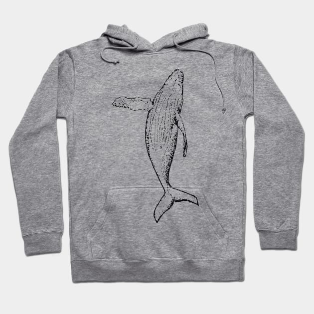 Playful And The Whale Hoodie by adrinalanmaji